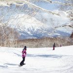 niseko