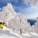 nozawa onsen