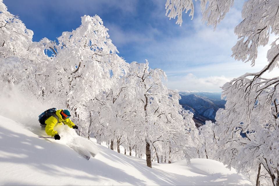 nozawa onsen