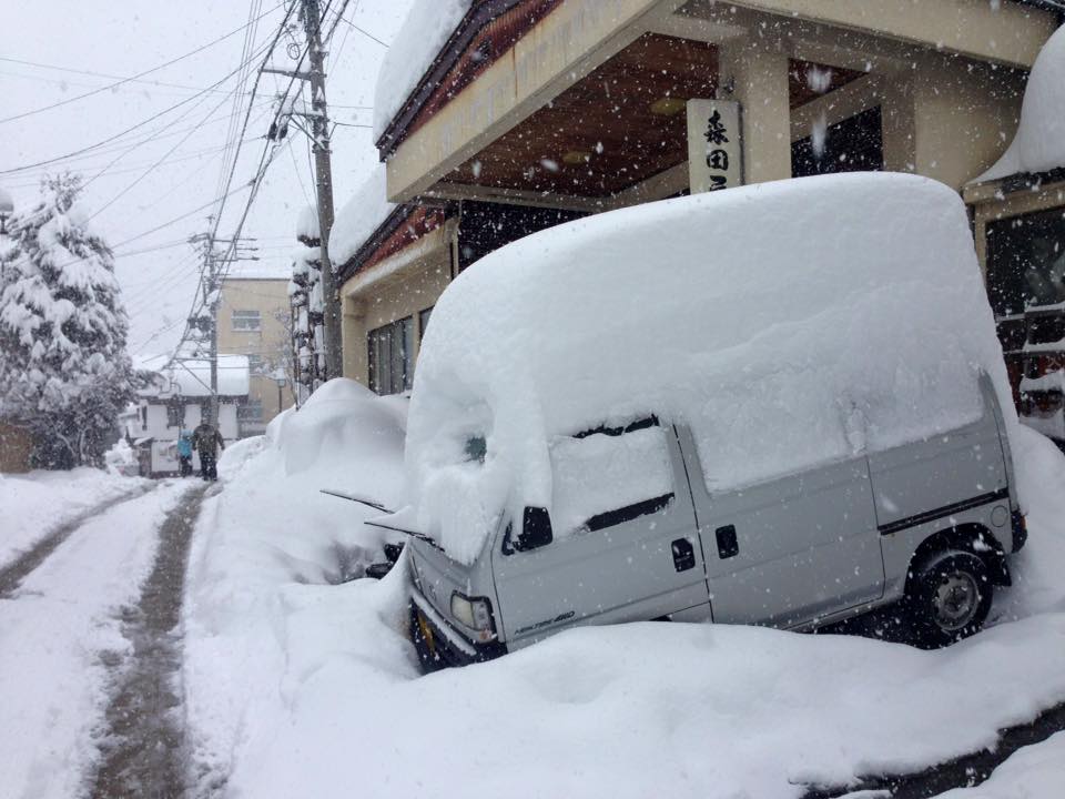 nozawa snoe