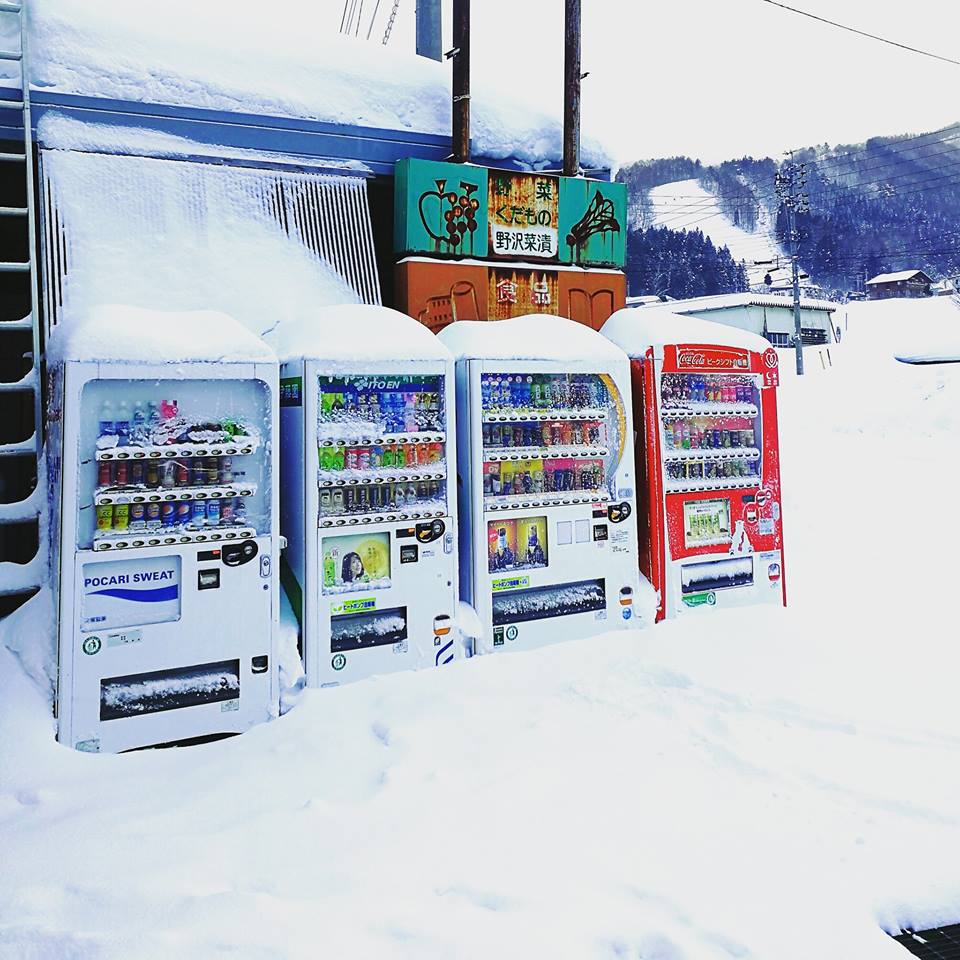 nozawa vending