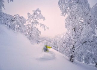 An Insider Guide to Nozawa Onsen nozwa snow