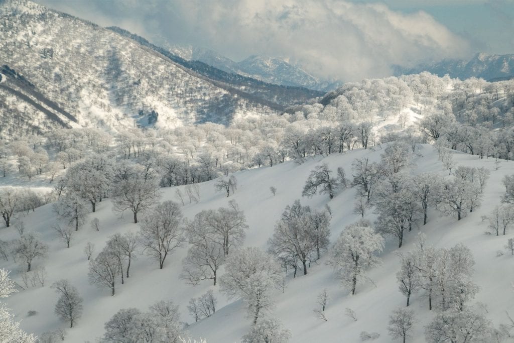 yamabiko area nozawa