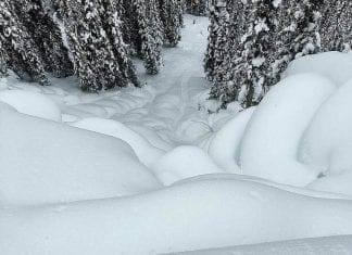 We need to talk about Whistler’s mega snowfall and forecast imageedit