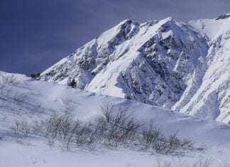 Avalanche deaths, burials and near misses in Japan this week avalanches Japan