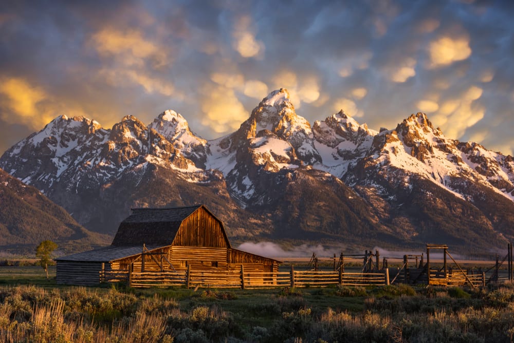 barn jackson