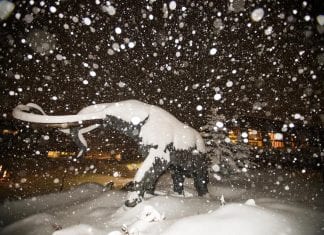 Snow storm in California set to dump up to three metres! mammoth mountain february