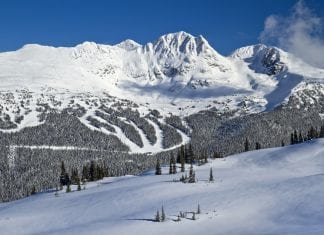 Australian snowboarder dies in avalanche at Whistler Blackcomb whistler blackcomb