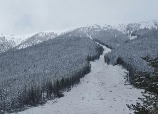 Multiple cars buried in massive avalanche in Colorado avalanche feature