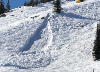 SilverStar Mountain Resort reopens after two inbound avalanches silverstar glenn bond