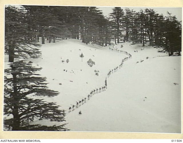 australian corps ski school lebanon