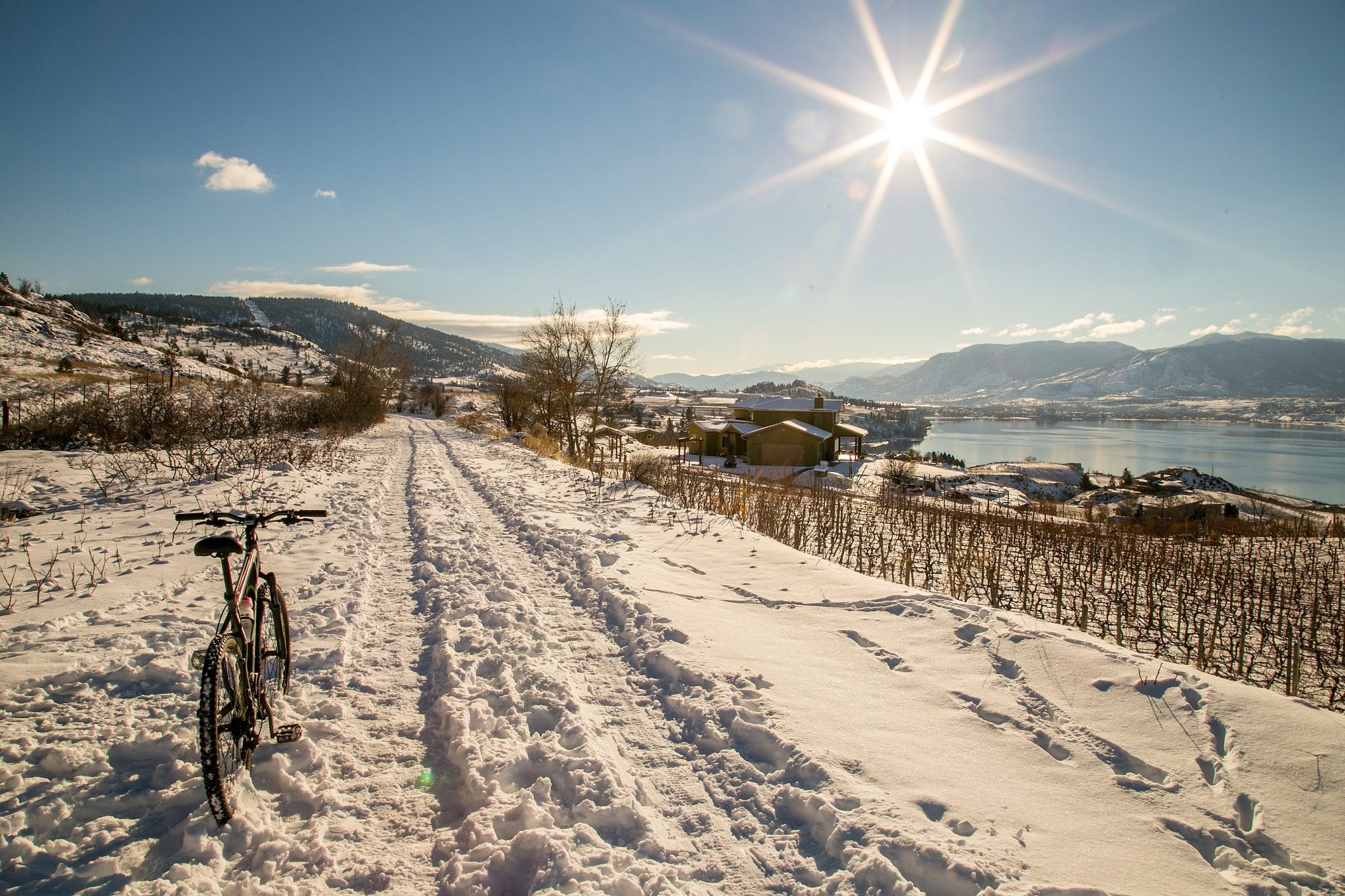 winter in penticton