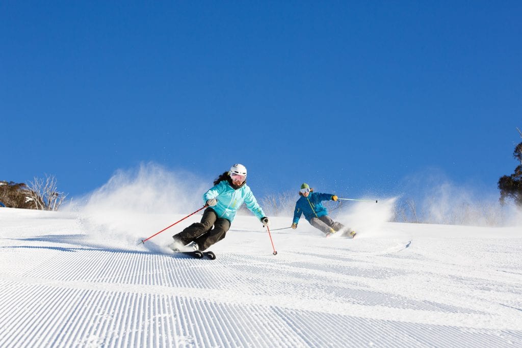 august w a bluebird groomers