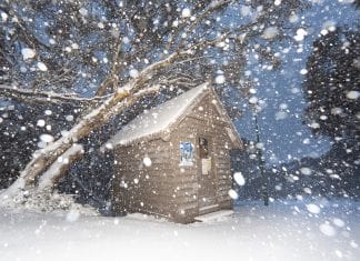 Aussie and NZ snow forecasts for this opening weekend buller