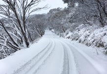 Will this season break the Aussie snow record of the year 2000? buller