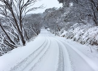 Will this season break the Aussie snow record of the year 2000? buller