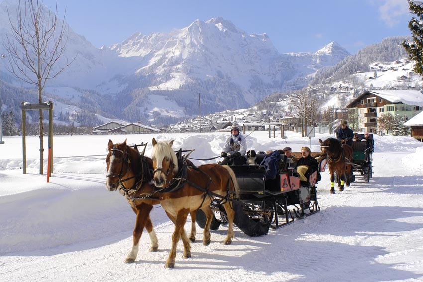 horsecarriage engelberg