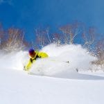 Hoshino powder skiing