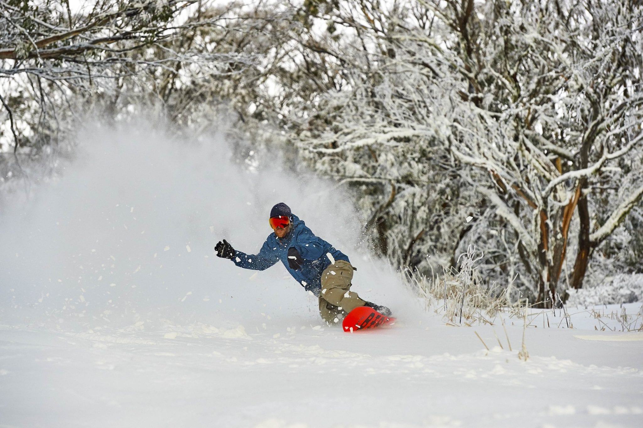 Mt Buller powder day Mt Buller
