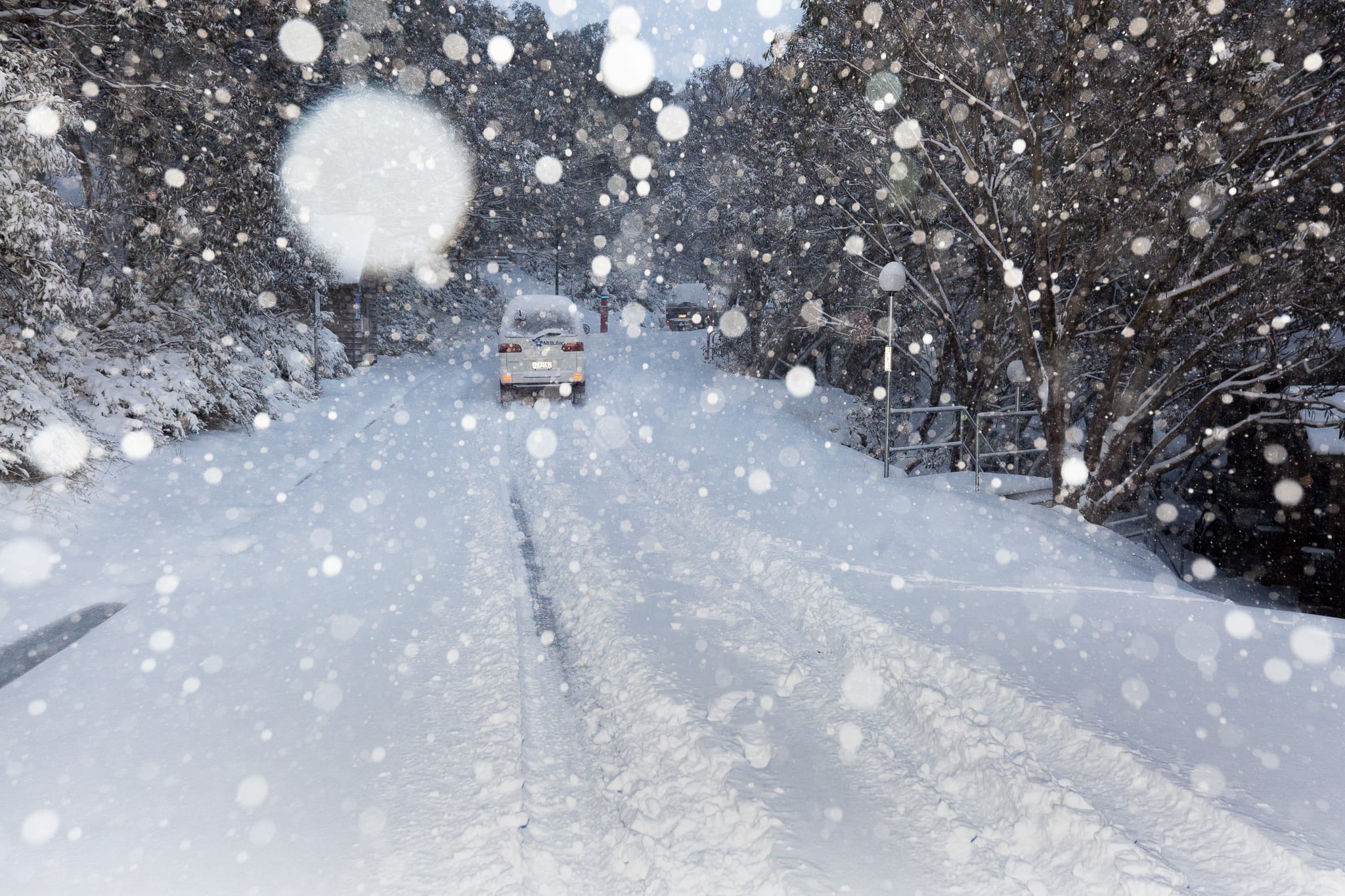 mt buller snow