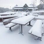 mt buller snow