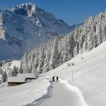 panoaramaweg rigidalalp winterlandschaft