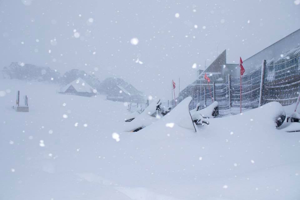 perisher perisher