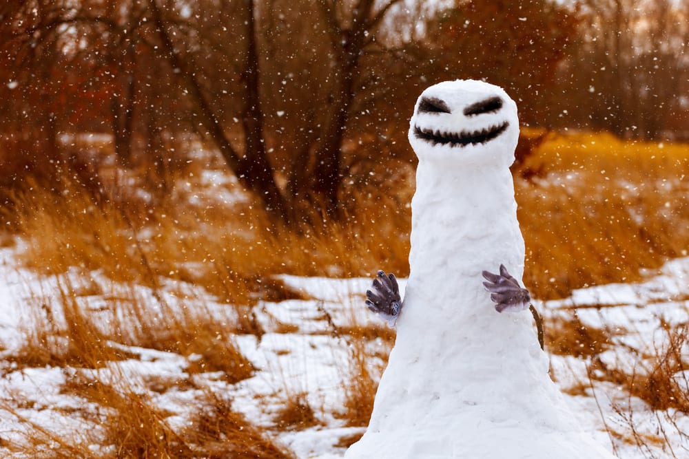 Snowzilla Snowzilla