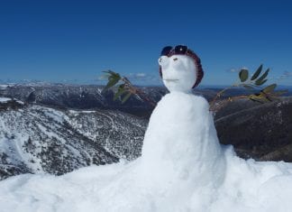 Five things guaranteed to happen this Australian ski season snow gum man