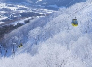 Eight backcountry skiers in avalanche in Hokkaido Japan, one critical tomamu ski resort