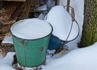 The week’s forecast: rain, rain go away, snow can come now every day buckets of snow