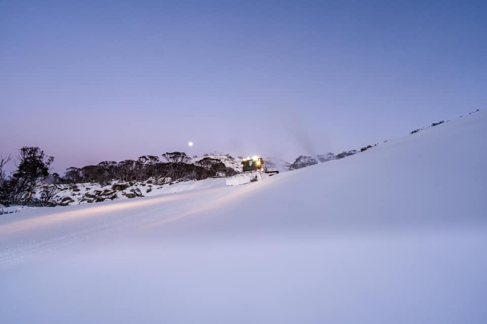 perisher grooming