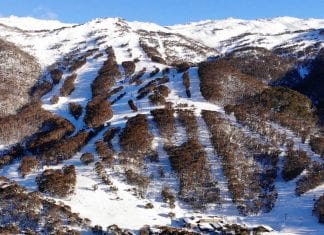 Search underway for father and daughter missing in Thredbo thredbo