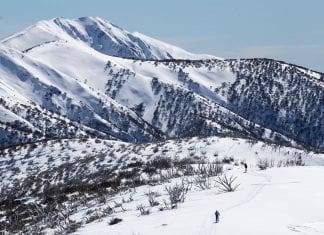 A first timer’s guide to skiing Australia’s big mountain Feathertop Feathertop Victoria