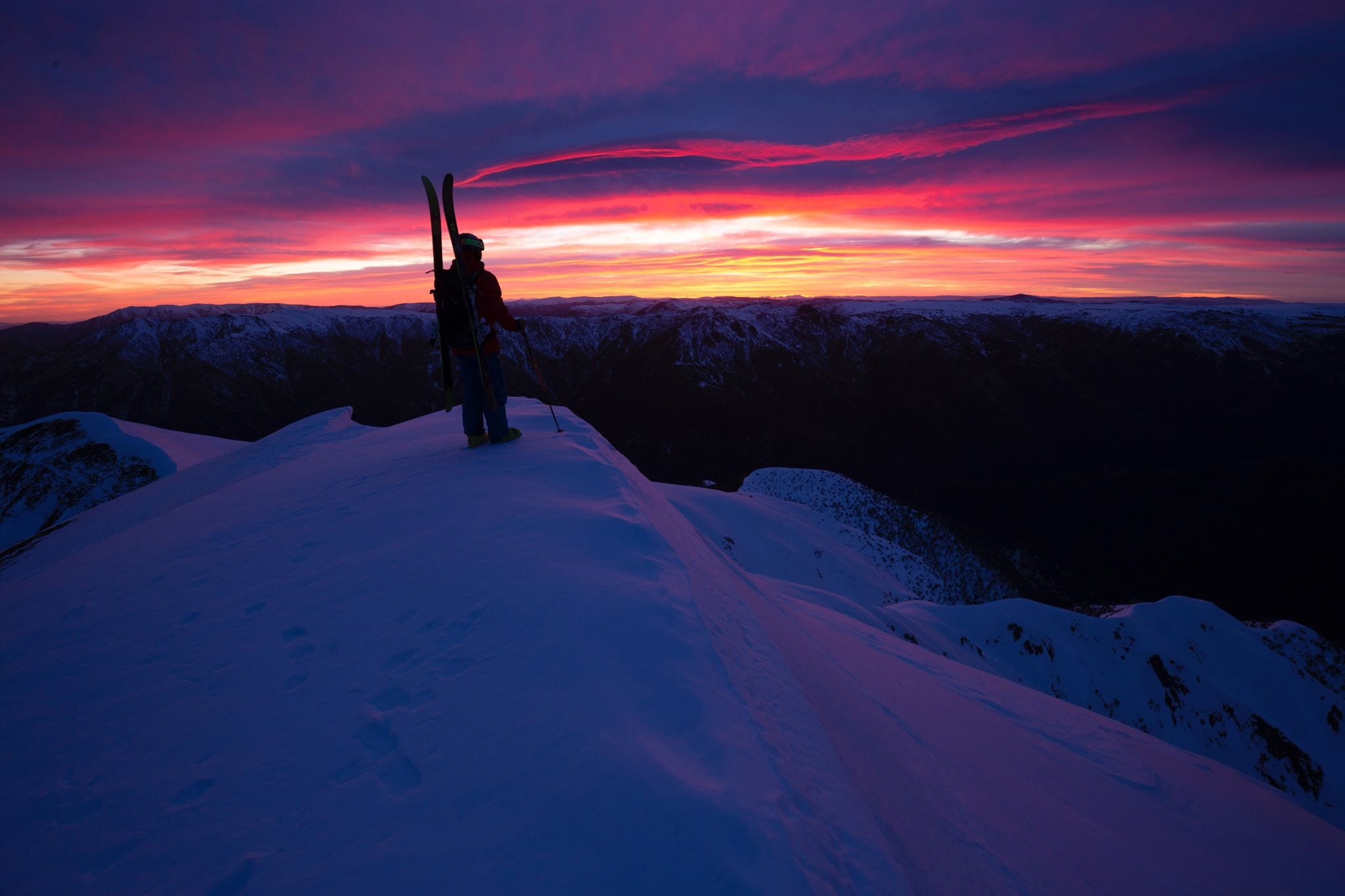 Feathertop Victoria