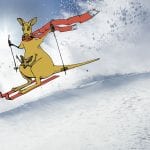 kangaroo skiing
