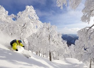 5 reasons you should ski and board Japan’s Nozawa Onsen in spring