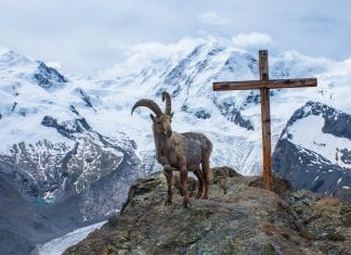 Backcountry.com trademarks “backcountry” and then sues everyone