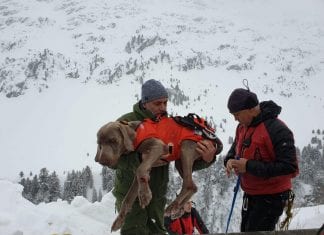 Ski patrollers save two dogs from a death chute in Austria solden ski patrol