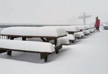 Photo gallery: Aussie ski resorts celebrate powder storm in summer!