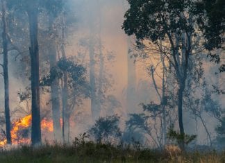 Residents of Dinner Plain, Falls Creek and Hotham told to evacuate now