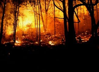 State of disaster extended for alpine regions of Victoria this weekend