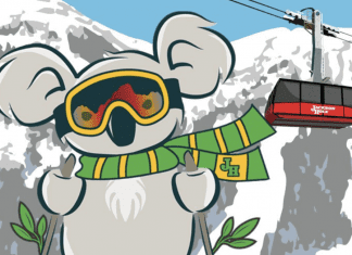 Some of the ski resorts digging deep for bushfire relief on Aussie Day