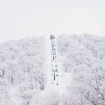 nozawa chair