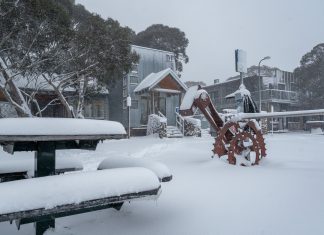 Dinner Plain plans to open this winter ski season