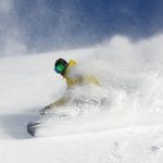 thredbo freshie