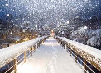 INTERVIEW: Thredbo GM, Stuart Diver, answers Covid season questions