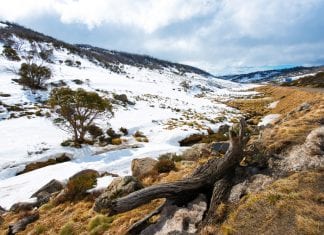 Covid Public Health Orders breached in Snowy Mountains this weekend