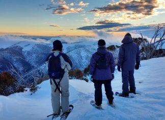 How to have the best Hotham holiday without the chairlifts