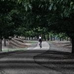 TravMedia_Australia_1412327_BRUCE-BAKER_Cyclist_on_the_Murray_to_the_Mountains_Rail_Trail_BRUCE_BAKER